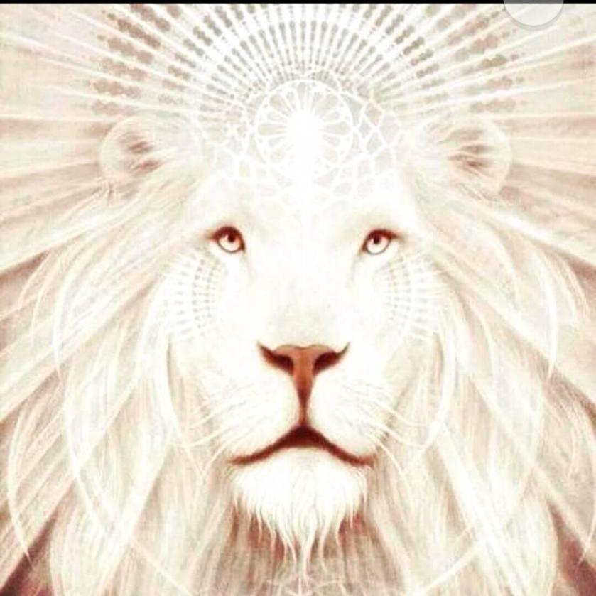 27982708_10156021523852086_6320463798593160378_o